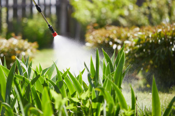 24/7 Emergency Termite Control experts in Colonial Heights, TN