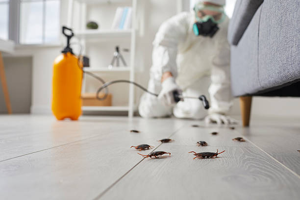 Trusted Termite Control service in Colonial Heights, TN - Nex Pest Control